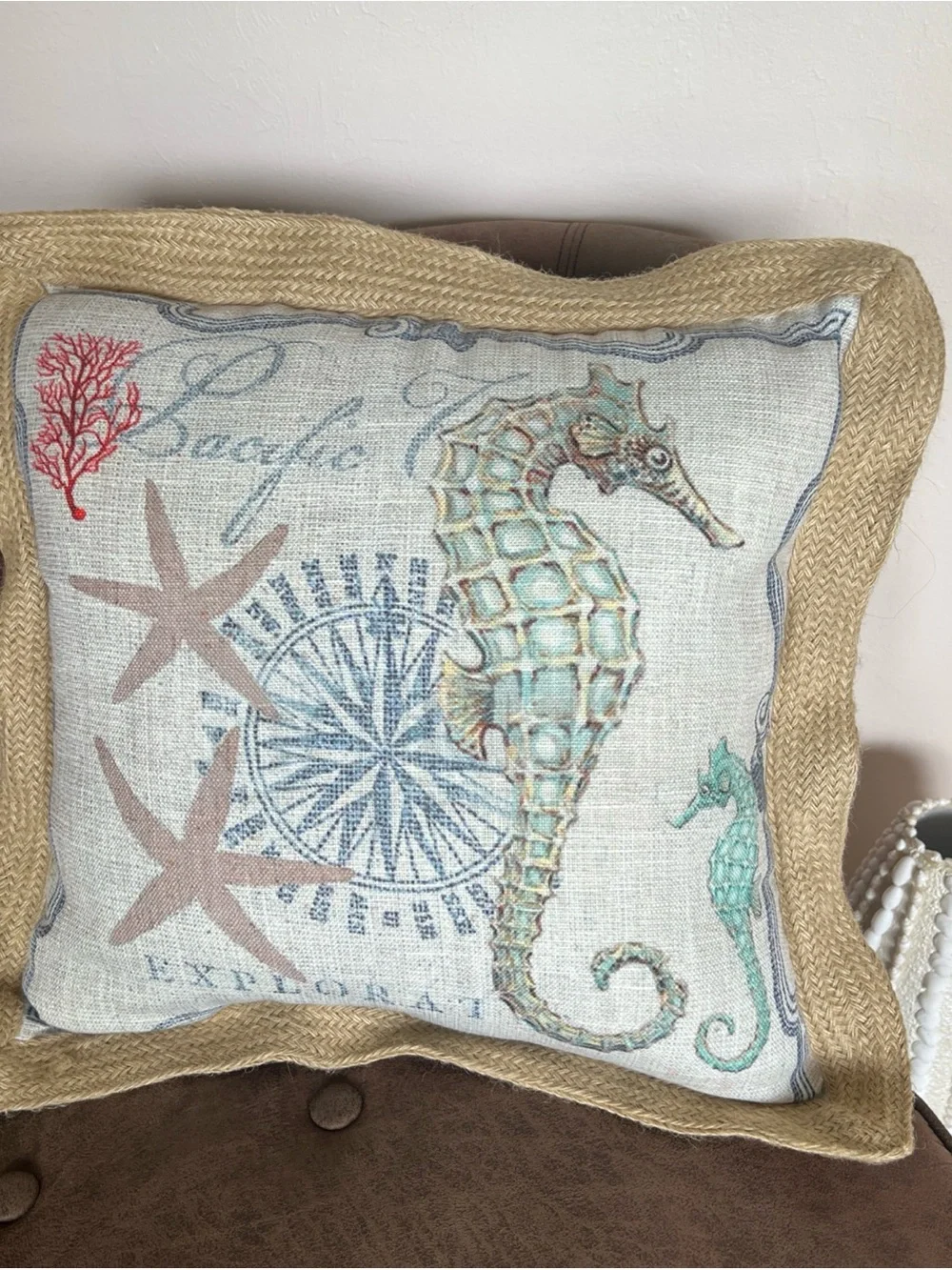 Coastal Seahorse Decorative Pillow - Beige & Aqua 20”x20” Rope Edge